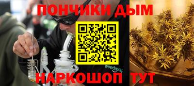 гидропоника Гагарин